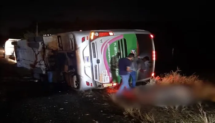 Ônibus tombou na BR-110, na zona rural do município de Catu — Foto: Reprodução/Redes sociais