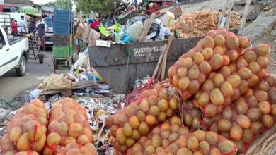 Moradores de Feira de Santana sofrem com acúmulo de lixo após suspensão de coleta - Foto: Reprodução/ Paulo José