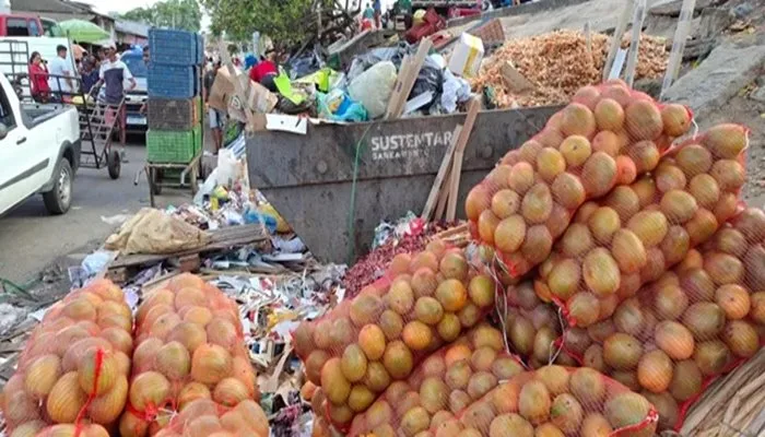 Moradores de Feira de Santana sofrem com acúmulo de lixo após suspensão de coleta - Foto: Reprodução/ Paulo José