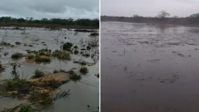 Chuva é registrada em Queimadas e São Domingos- Foto: Reprodução / Redes sociais