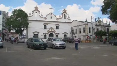 Prefeitura de cidade da Bahia autoriza que animais abandonados sejam abatidos- Foto: Reprodução/ TV Bahia