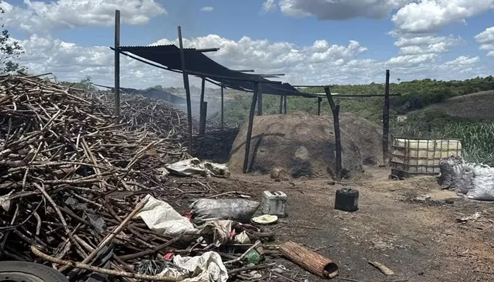 Operação desmanchou carvoaria clandestina em Feira de Santana