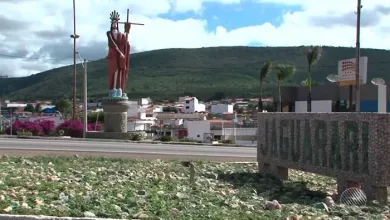 Caso aconteceu na zona rural do município de Jaguarari, no norte do estado — Foto: Reprodução/Imagem/TV São Francisco