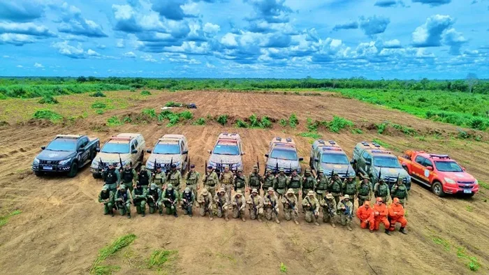 plantação foi incinerada no local.