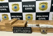 Polícia Civil apreende mais de 31 quilos de maconha durante operação- Foto: Divulgação/ Ascom PC