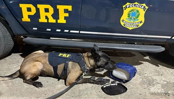 PRF apreende maconha escondidas em garrafa térmica na BR-116 em Feira de Santana