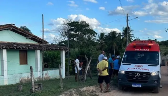 Idosa de 97 anos fica gravemente ferida após ser atacada por pitbull- Foto: Reprodução