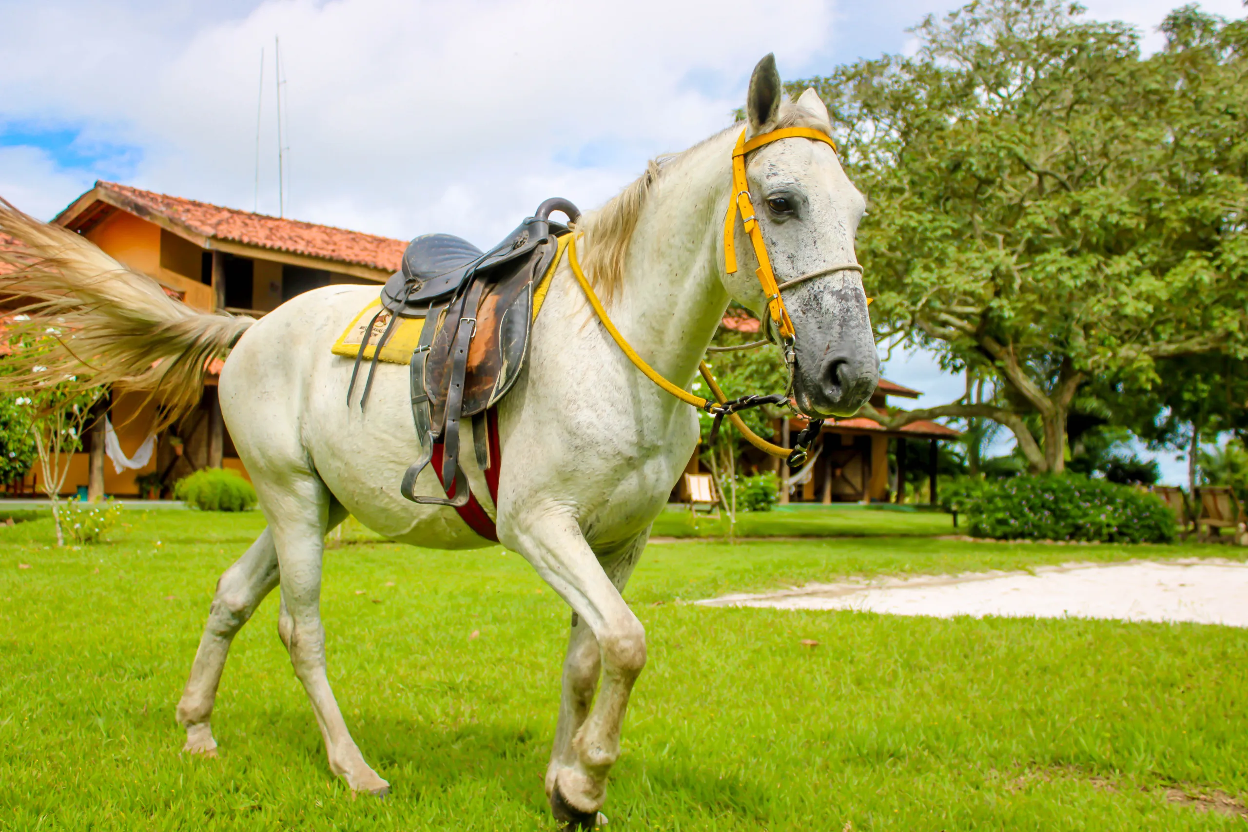 Fazenda Hotel Candeal
