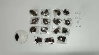 apreensão de drogas em Amélia Rodrigues
