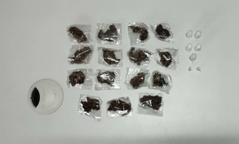 apreensão de drogas em Amélia Rodrigues