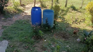 falta de água em Terra Nova