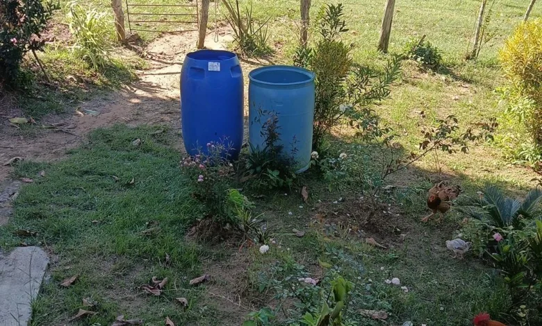 falta de água em Terra Nova