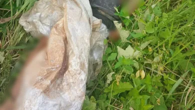 homem encontrado morto em Simões Filho