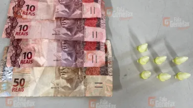 entorpecentes em Terra Nova