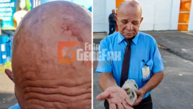 motorista de ônibus escolar agredido em Camaçari após discussão no trânsito