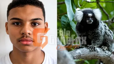 raiva humana no Piauí