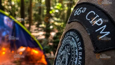 acampamento criminoso em Amélia Rodrigues