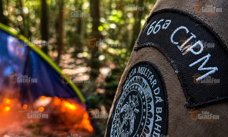acampamento criminoso em Amélia Rodrigues