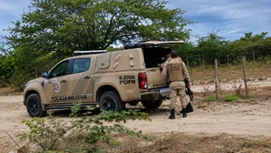 crime contra animal em Queimadas | Foto: Divulgação