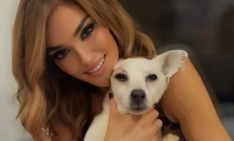 mulher tatua cinzas de cachorro