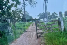 decisão favorável à Terreal