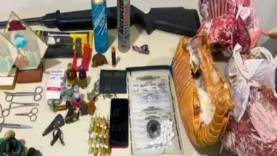 45 aves resgatadas de rinha de galos em Bom Jesus da Lapa | Foto: Reprodução