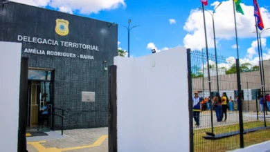 defesa nega ataque intencional com pitbull
