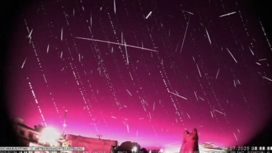 chuva de meteoros Delta Aquáridas