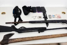 arma artesanal e aves silvestres apreendidas em Teodoro Sampaio