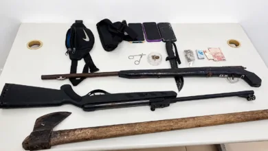 arma artesanal e aves silvestres apreendidas em Teodoro Sampaio