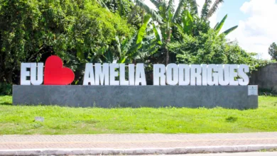contas de 2024 de Amélia Rodrigues