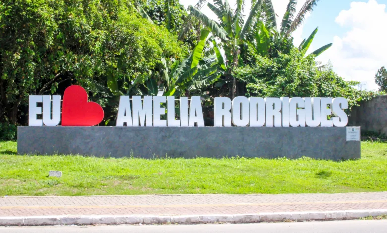 contas de 2024 de Amélia Rodrigues