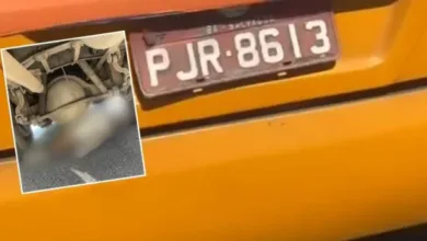 Atropelamento fatal envolvendo micro-ônibus em São Cristóvão | Foto: Reprodução