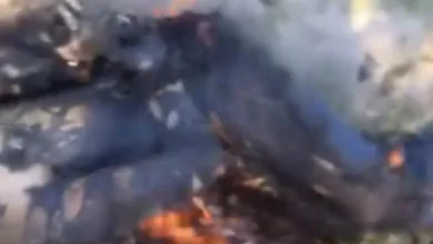 Corpo amarrado e em chamas é encontrado por moradores em Feira
