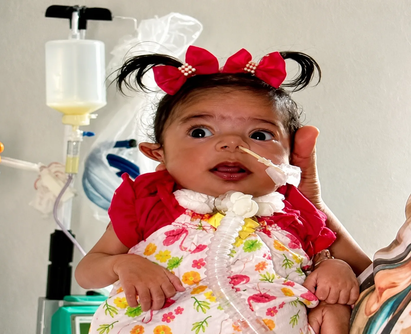 pequena Júlia Coração de Maria