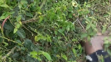 corpo encontrado no bairro Papagaio