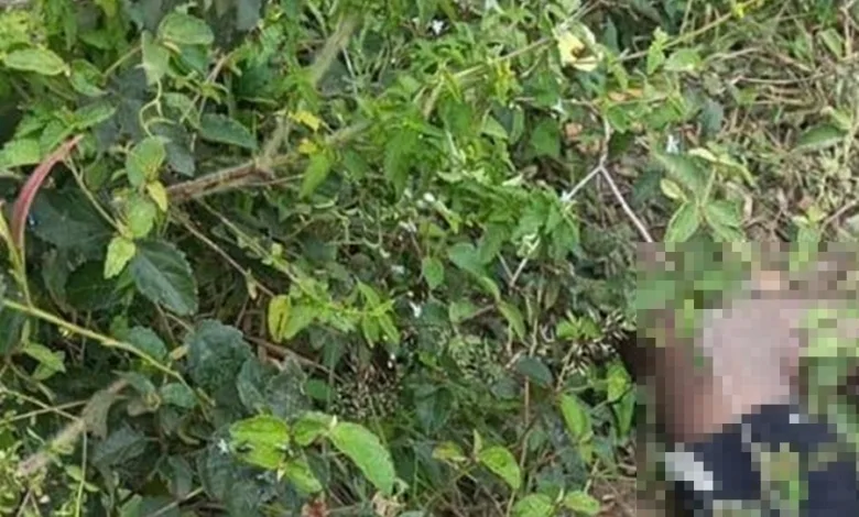 corpo encontrado no bairro Papagaio