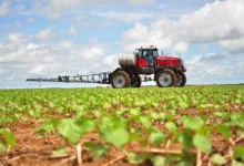 Tarifas dos EUA afetam o agro baiano e cadeias exportadoras | Foto: Reprodução