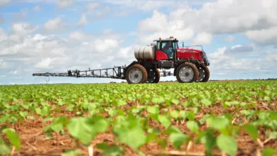 Tarifas dos EUA afetam o agro baiano e cadeias exportadoras | Foto: Reprodução