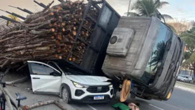 carga de madeira cai em carro