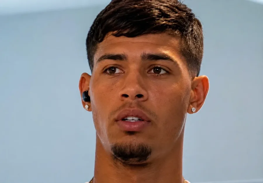Pedro Henrique Sales