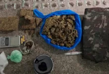 drogas apreendidas em Conceição do Jacuípe