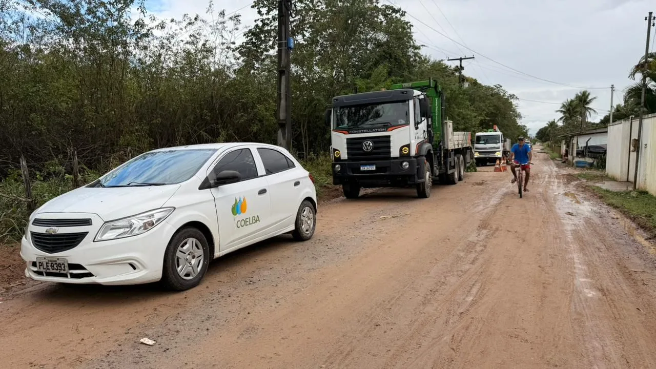 poda preventiva no Oitizeiro