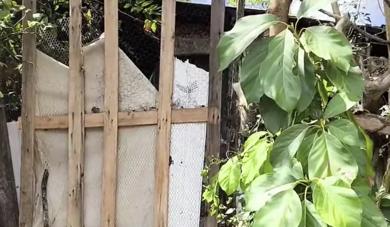 pintor morto em Santo Amaro