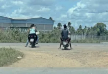 roubadinha na BR-101