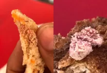 ovos de varejeira em pastel na escola