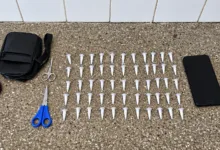 apreensão de drogas em Terra Nova