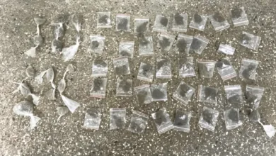 Maconha apreendida em Saubara