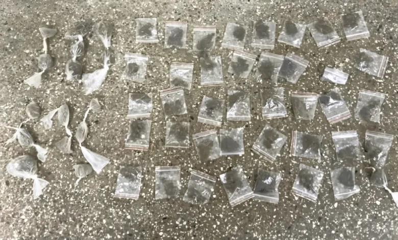 Maconha apreendida em Saubara