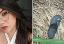 Grávida morta e esquartejada
